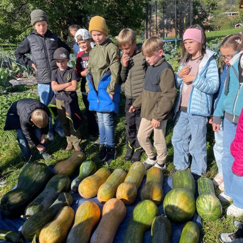 Kinder bei der Kürbisernte