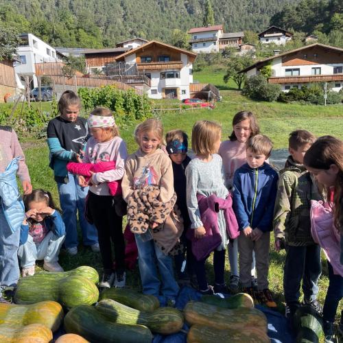 Kinder bei der Kürbisernte