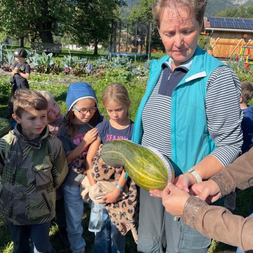 Kinder bei der Kürbisernte