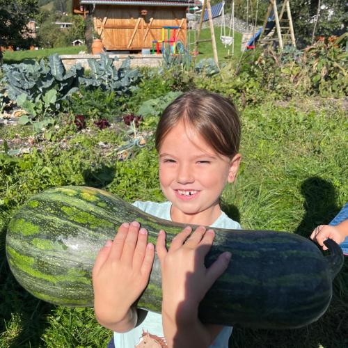 Kinder bei der Kürbisernte