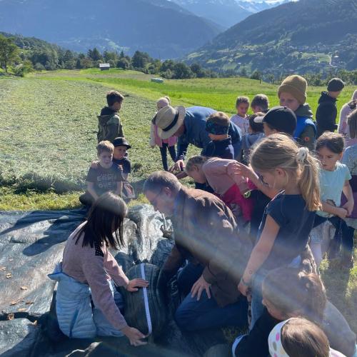 Kinder bei der Kürbisernte