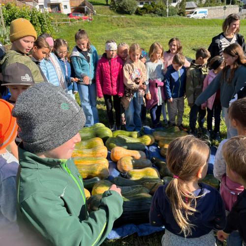 Kinder bei der Kürbisernte