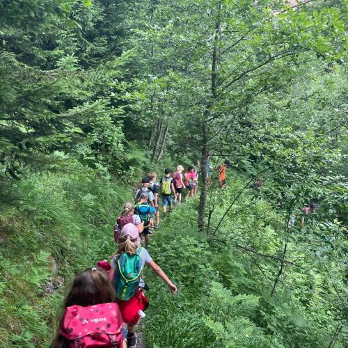 Kinder beim Wandertag zum Wildbad