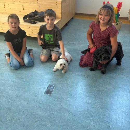Tiere
